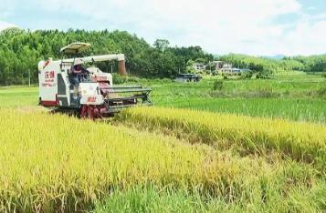 “芯”動(dòng)力、“硬”裝備！看福建增產(chǎn)20萬噸糧食的創(chuàng)新底氣