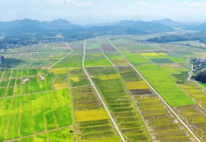 福建南平：中國(guó)電信智能化應(yīng)用解鎖春耕新農(nóng)具