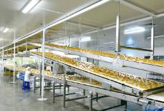 健康化 多樣化 數(shù)字化 品牌化　我國餅干行業(yè)蘊含巨大發(fā)展空間