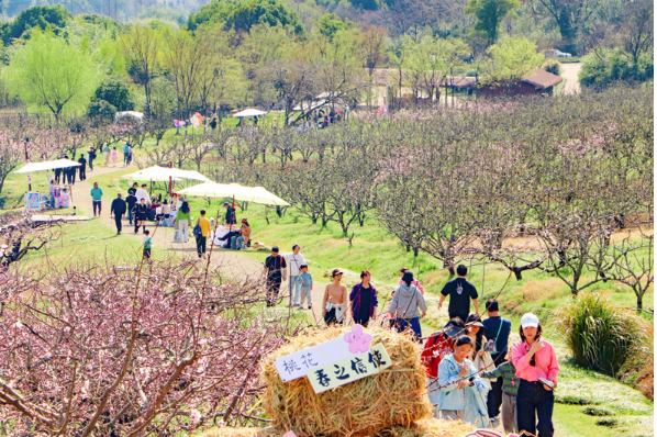 國(guó)潮風(fēng)勁吹 春日文旅向“新”而行