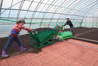 中國(guó)“大糧倉(cāng)”黑龍江春播忙