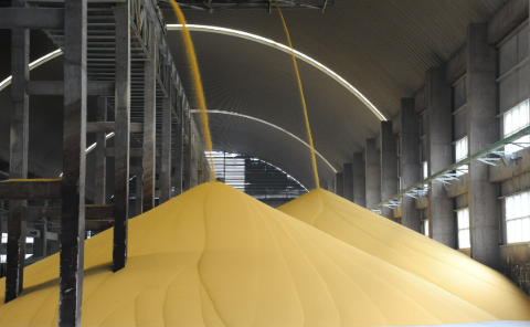 守好“責(zé)任田”！貴州磷化集團(tuán)筑牢糧食安全戰(zhàn)略根基