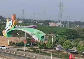 中國茉莉花之鄉(xiāng)鮮花供不應求：新式茶飲風行，吸引更多年輕人消費