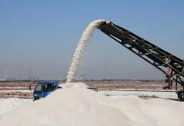 3月份我國(guó)原鹽市場(chǎng)偏弱調(diào)整