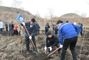 黑龍江：春風(fēng)拂暖催新綠 植樹造林正當(dāng)時