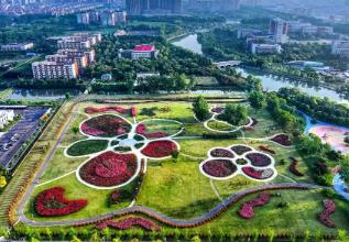 “花木之鄉(xiāng)”沭陽，一場持續(xù)五年的“誠信實驗”