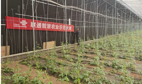 充實(shí)農(nóng)業(yè)“含綠量”提升環(huán)?！昂鹆俊?中國(guó)聯(lián)通奏響綠色發(fā)展“春之曲”