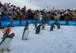 哈爾濱上榜“2024年度游客滿意十佳城市”