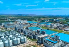 內(nèi)蒙古招商“分層突破” 多個產(chǎn)業(yè)鏈實現(xiàn)倍增