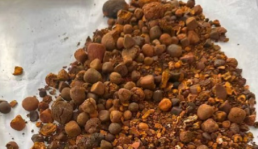 進(jìn)口牛黃再“開閘” 牛黃原料“緊缺枷鎖”能否打開？