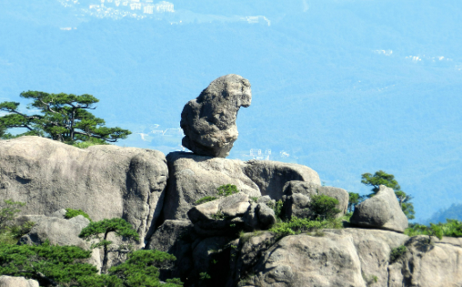 讓“課本游”成為“行走的課堂”