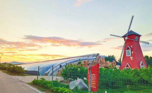 特色產(chǎn)業(yè)激活鄉(xiāng)村振興新動能