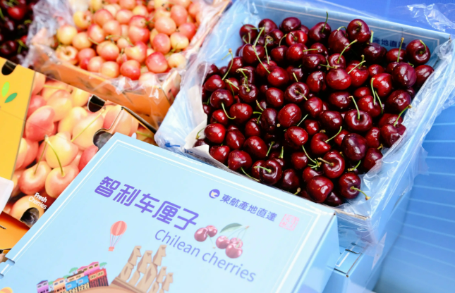 連續(xù)十多年，智利穩(wěn)坐我國(guó)進(jìn)口車(chē)?yán)遄拥谝淮髞?lái)源地