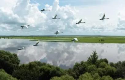 黑龍江省中國科學院科學家工作室增至114家