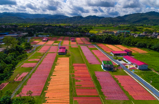 廣新控股集團強化ESG治理 為高質量發(fā)展注入動能