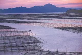 福建：將“藍(lán)色牧場”打造成廣闊的“碳庫”