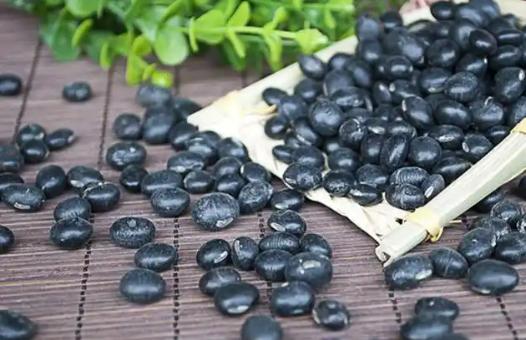 黑龍江明水黑豆產(chǎn)業(yè)：撬動(dòng)鄉(xiāng)村振興的