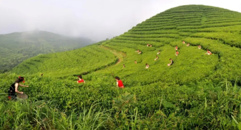 不要把農(nóng)業(yè)文化遺產(chǎn)“冷凍式保存”