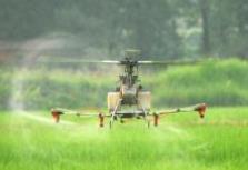 氯蟲苯甲酰胺供應(yīng)“近憂”凸顯