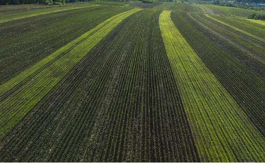 黑龍江佳木斯：黑土地上的單產(chǎn)躍升“密碼”