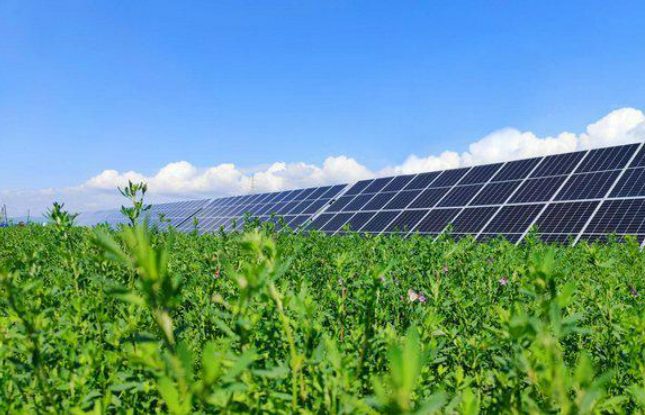 馳而不息向“綠”而行 ——黑龍江龍煤集團踐行社會責任推進綠色發(fā)展