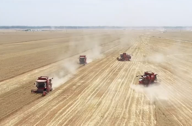 新鄉(xiāng)封丘：護(hù)航“三夏”全鏈條 暢通麥?zhǔn)拯S金通道