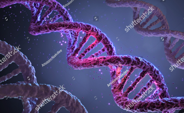 把數(shù)據(jù)刻進(jìn)DNA！海量信息存儲(chǔ)打開(kāi)新思路