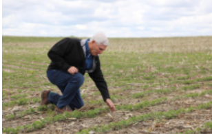 美國“糧倉”一線觀察：關(guān)稅政策沖擊下的農(nóng)民春播之困