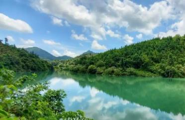 現(xiàn)有1361個自然保護(hù)地！廣東高水準(zhǔn)推進(jìn)綠美保護(hù)地建設(shè)