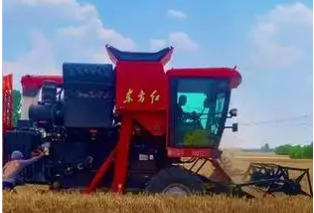 “三夏”時節(jié)，國機集團護航夏糧顆粒歸倉