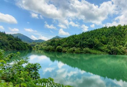 廣東高水準(zhǔn)推進(jìn)綠美保護(hù)地建設(shè) 物種數(shù)量和種群規(guī)模呈擴(kuò)大態(tài)勢