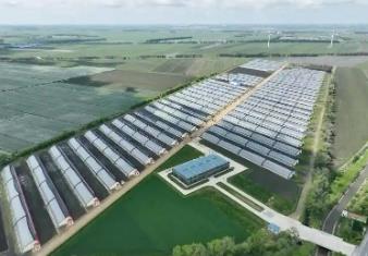 黑龍江富錦市：探秘北國糧都的農(nóng)文旅新樣板