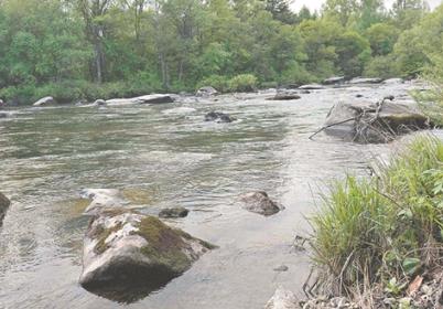 黑龍江省啟動“綠盾2025”自然保護(hù)地強(qiáng)化監(jiān)督工作