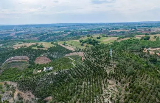 山西襄垣：向“林”發(fā)力 借“綠”生金