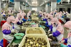 全國第一！今年前5個月福建鮑魚制品出口規(guī)模創(chuàng)新高