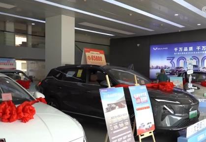 新能源汽車下鄉(xiāng) 激發(fā)農(nóng)村消費新活力