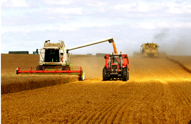 糧食“飛地”新模式前景廣闊