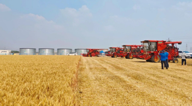 中國(guó)中化護(hù)航“三夏”進(jìn)行時(shí)