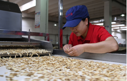 漲價容易降價難 中藥價格高企需“降虛火”