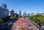 廣東首個(gè)都市圈生態(tài)環(huán)保規(guī)劃發(fā)布