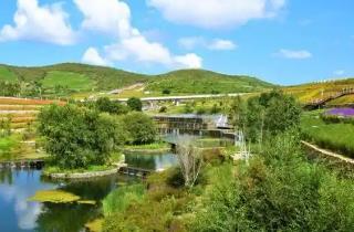 內(nèi)蒙古東北鄉(xiāng)村激活“花樣經(jīng)濟(jì)”