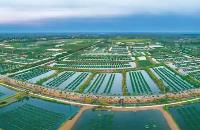 湖北支持做大做強(qiáng)特色產(chǎn)業(yè) 打造10個(gè)全國知名“特色之鄉(xiāng)”