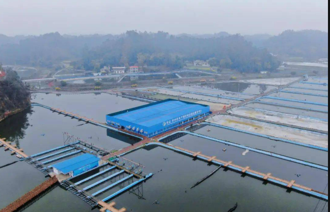 四川樂(lè)山堅(jiān)持“四個(gè)聚焦” 護(hù)航漁業(yè)高質(zhì)量發(fā)展