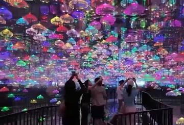 時髦新“夜”態(tài)、“室內(nèi)版”新興運動……消費“新寵”激活夏日經(jīng)濟活力