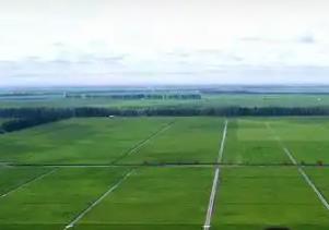 黑龍江電力賦能農(nóng)業(yè)生產(chǎn)好“豐”景