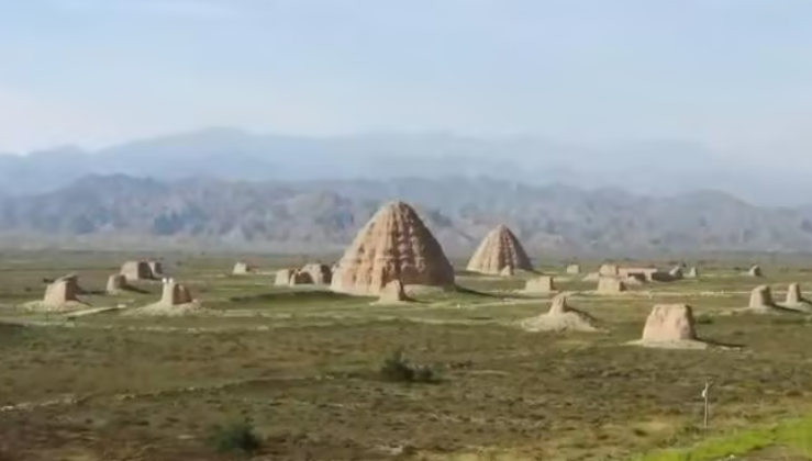 “西夏陵”成功列入《世界遺產(chǎn)名錄》