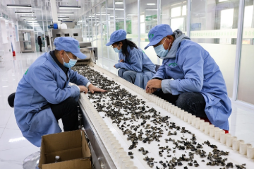 黑龍江做精做優(yōu)特色產(chǎn)業(yè)農(nóng)產(chǎn)品加工