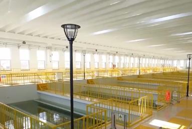 供水保障更“聰明” “科技+服務(wù)”一“鍵”滿足盛夏生產(chǎn)生活用水激增需求