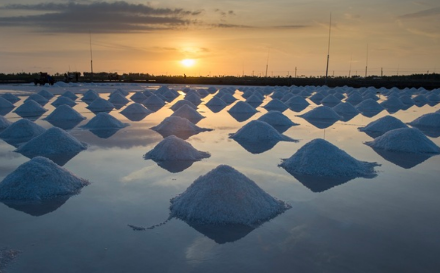 廣東鹽業(yè)集團上半年實現(xiàn)“雙過半”