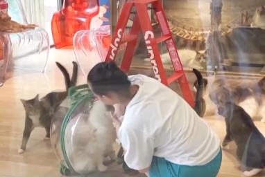 突破8114億元！科技重塑“它經(jīng)濟” “毛孩子”情感消費撬動經(jīng)濟新支點